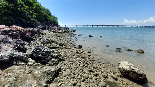 深屈處於西面水域，水質渾濁而富有機物營養